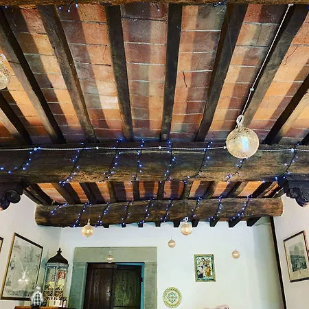 Di Santantimo Arezzo