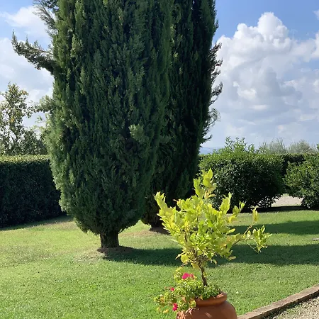 Di Santantimo 4*
