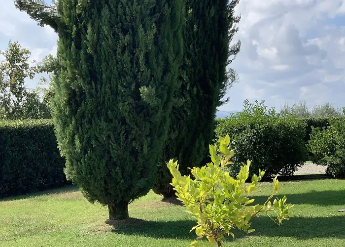 Di Santantimo 4*